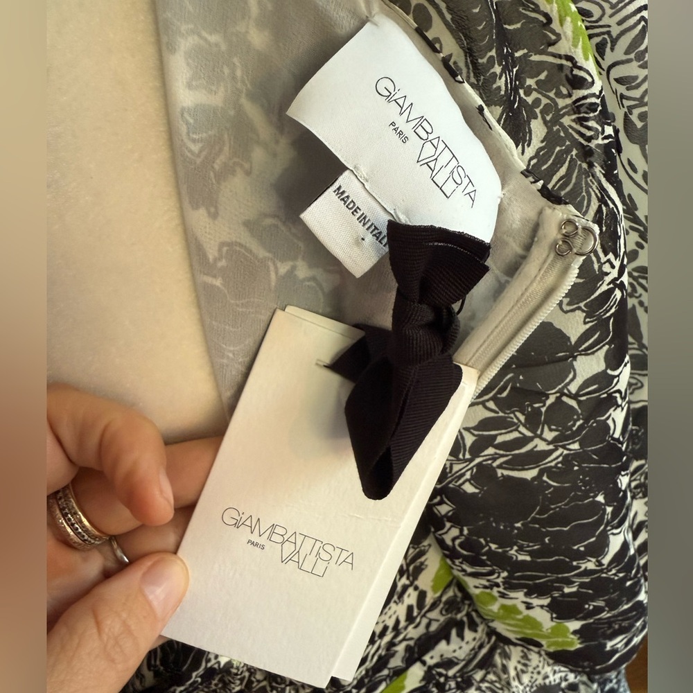 Giambattista Valli Plunging Floral Mini Chiffon Dress Size 46/US 10 NWT $3,350 - Picture 12 of 13